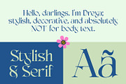 AO Dreya - Stylish Serif Font, a Serif Font by OwunStudio (Thumbnail 10 of 15)