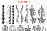 Bag of Bones | Vintage Clipart, a Seasonal Illustration by GVGraphics (Thumbnail 7 of 13)