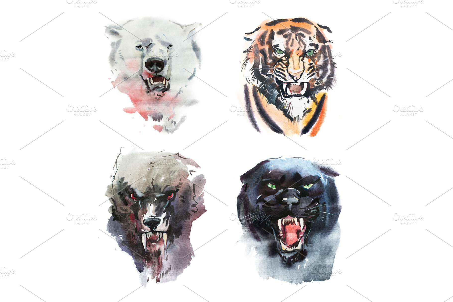 Watercolor Angry Animals, an Animal Photo by undrey