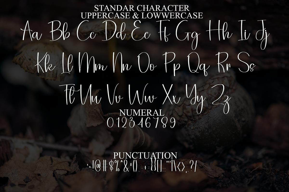 Handmade Typewriter, a Handwritten Font by FreshTypeINK (Photo 4 of 8)