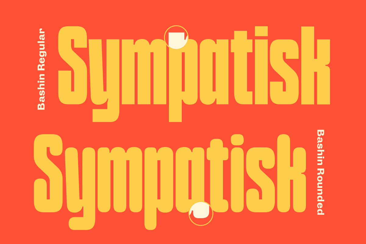 TNSC Bashin - Condensed Sans Serif, a Sans Serif Font by The Native Saint Club (Photo 3 of 12)