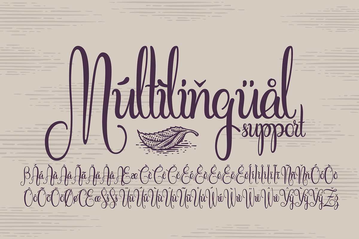 Cidrella script & graphics, a Script Font by Gleb Guralnyk (Photo 6 of 6)