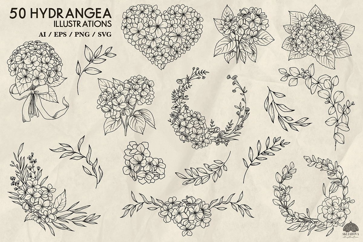 Hydrangea line art + Procreate, a Decorative Illustration by Skliarova (Photo 2 of 4)