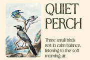 CS Brela Stamp, a Serif Font by Craft Supply Co. (Thumbnail 5 of 8)