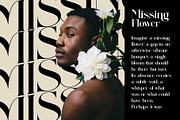 Aiditten Elegant Serif, a Serif Font by Alfinart (Thumbnail 4 of 10)