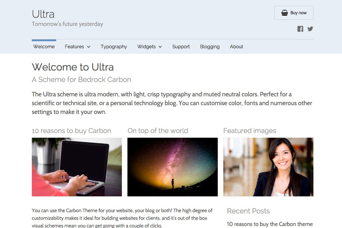 Carbon by Bedrock Themes, a WordPress Template by Bedrock Themes (Photo 6 of 12)