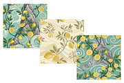 Buddha's Hand Sanctum Pattern, a Pattern Graphic by FloridPrintables (Thumbnail 5 of 6)