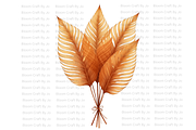 Dried Palm Leaves, a Decorative Illustration by Bloom Craft Creations (Thumbnail 9 of 10)