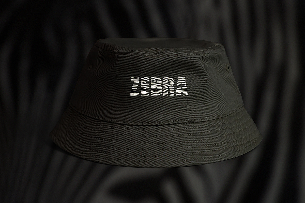 Zebra Sans Serif, a Sans Serif Font by Nickhard (Photo 3 of 7)