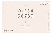 Willow Avenue | Hand lettered Serif, a Serif Font by Pink Coffie (Thumbnail 9 of 11)