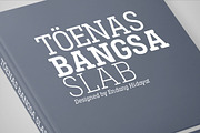 Toenas Bangsa Font Family, a Slab Serif Font by Bang Kumis Typefoundry (Thumbnail 8 of 8)