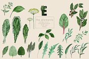 UPDATE - Abundant Greenery, an Object Graphic by Jeanina Vlad (Thumbnail 4 of 9)