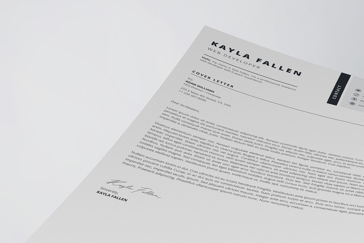 Clean Resume/CV Template, a Resume Template by HueNestify (Photo 3 of 4)