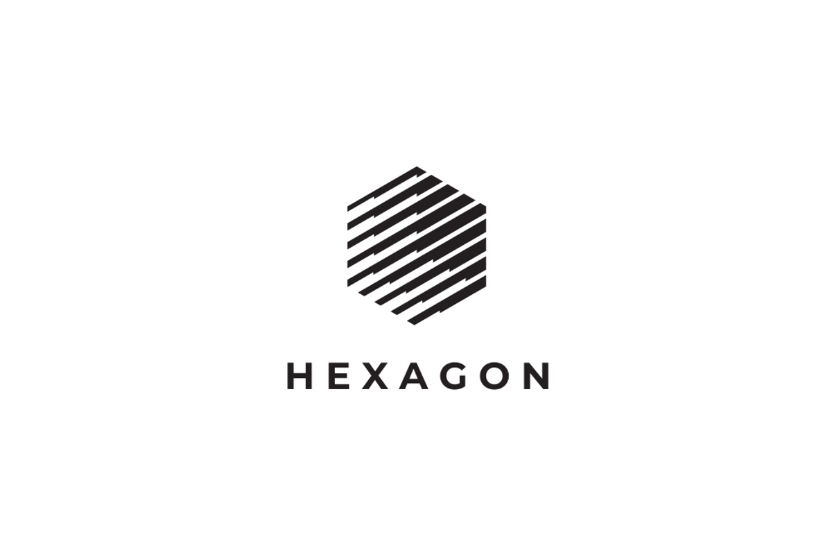 Hexagon Vector Logo Template, a Branding & Logo Template by yopie