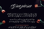 Graziosa Script Font, a Script Font by Corina Moscu (Thumbnail 3 of 10)