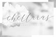 Chellaras Script - UPDATE!, a Script Font by FadeLine Studio (Thumbnail 1 of 9)