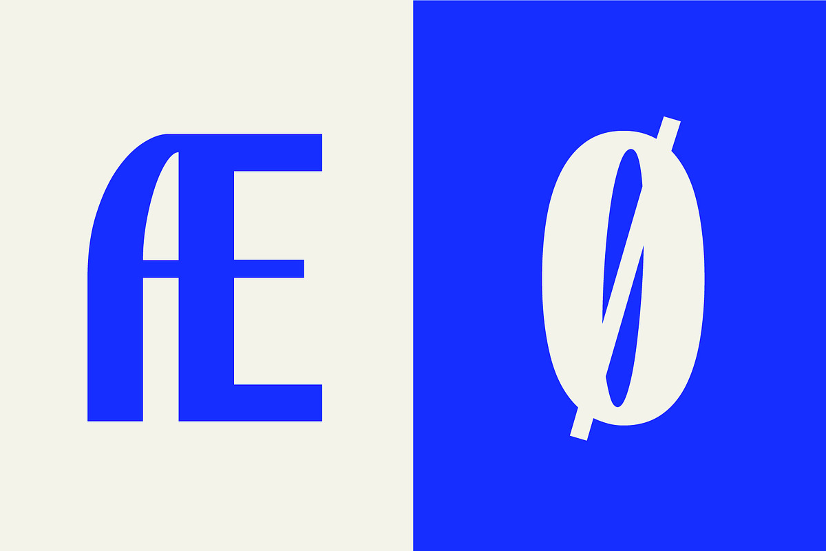 SK Rohkea — Modular Display Grotesk, a Sans Serif Font by Shriftovik Type Foundry (Photo 5 of 16)