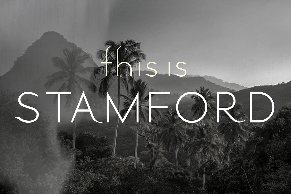 Stamford font family, a Sans Serif Font by LostandFoundry (Photo 1 of 11)