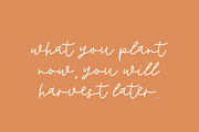 Butternut Script, a Script Font by Beck McCormick (Thumbnail 2 of 11)