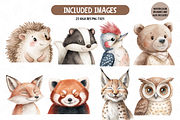 Woodland Animal Portraits Clipart, an Animal Illustration by TatiMockup (Thumbnail 2 of 5)