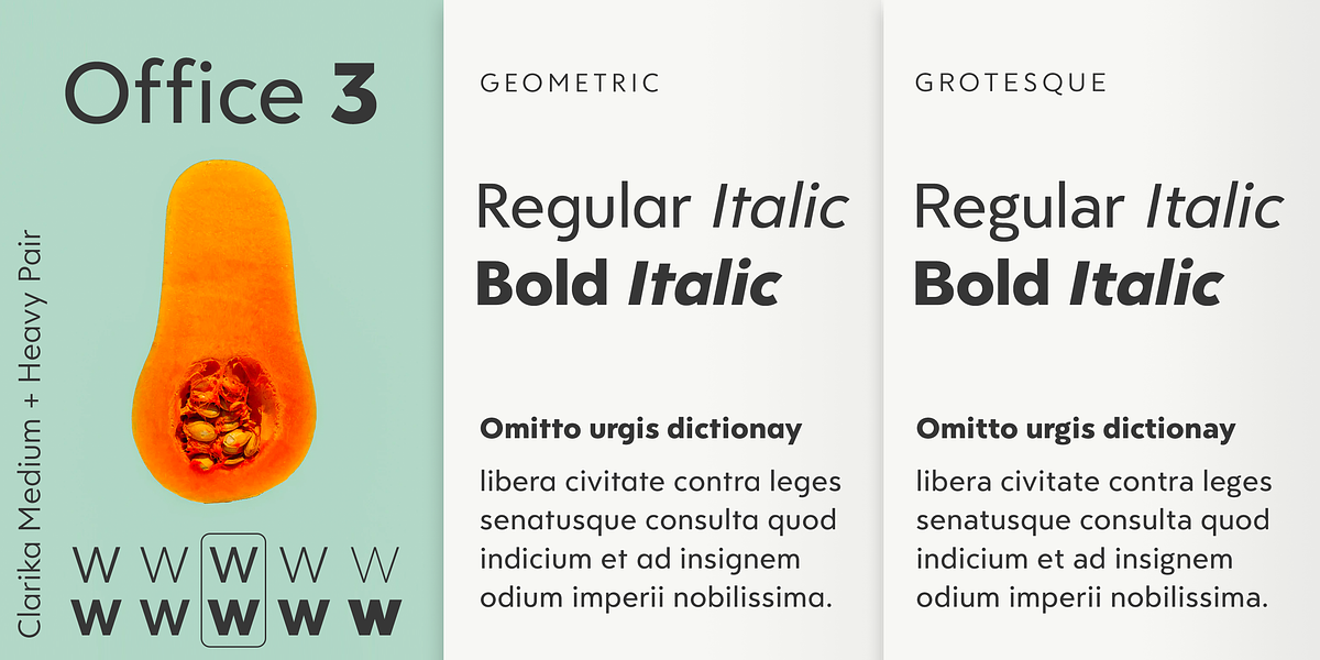 Clarika Office, a Sans Serif Font by Wild Edge (Photo 5 of 9)