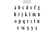 Abell Serif 6 Font Family Pack, a Serif Font by Creativetacos (Thumbnail 3 of 6)