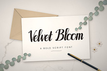 Velvet Bloom – Brush Script Font