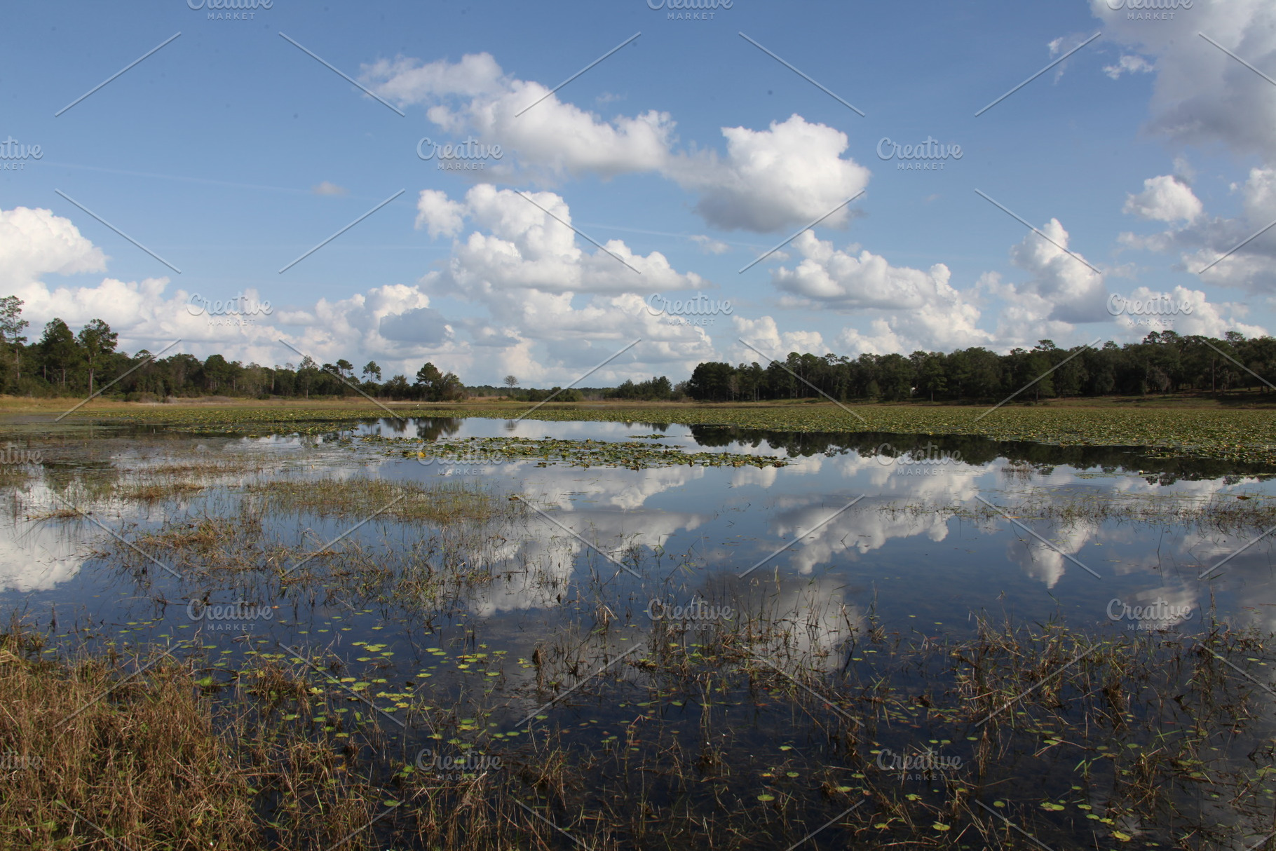 Lake in Gold Head Branch State Park, a Nature Photo by Viktor