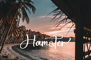 Banita Ralina, a Script Font by pineungtype (Thumbnail 3 of 11)