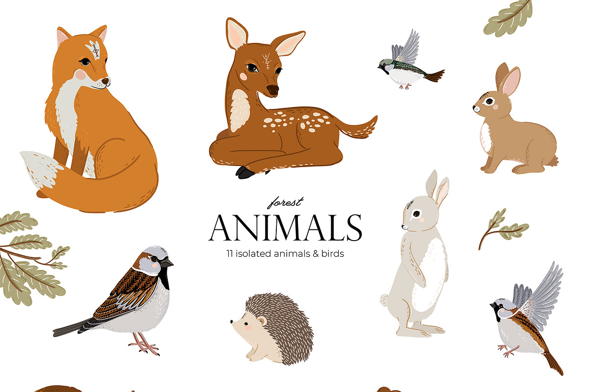Forest Animals & Seasonal Botany, an Illustration by Ruslana Lubenets (Photo 4 of 21)