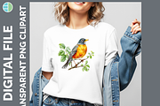 Bird Illustration Bundle, 21 PNG, an Animal Illustration by Enliven Designs (Thumbnail 2 of 8)