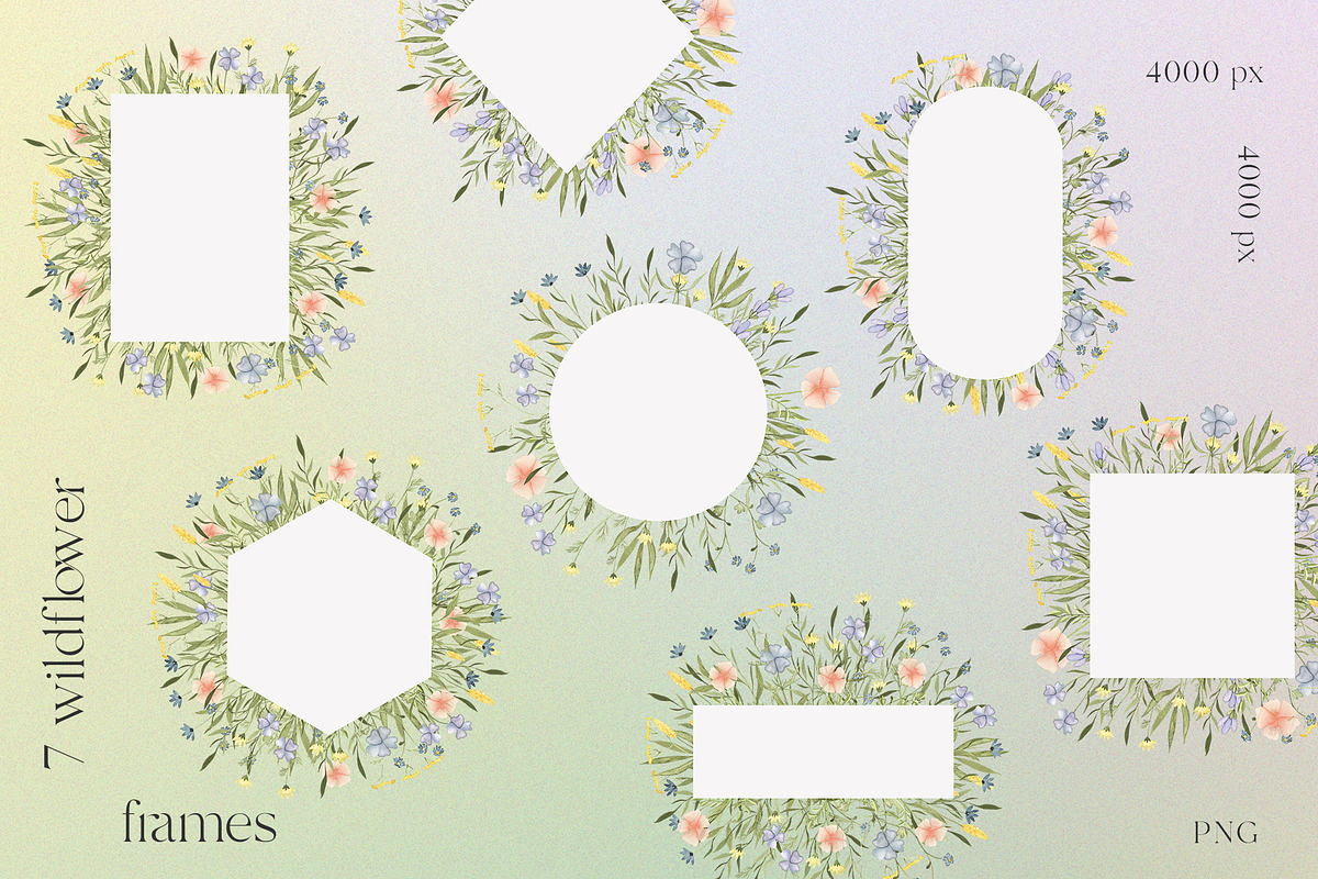 Wildflowers watercolor collection, an Illustration by viktoriiavk (Photo 9 of 11)