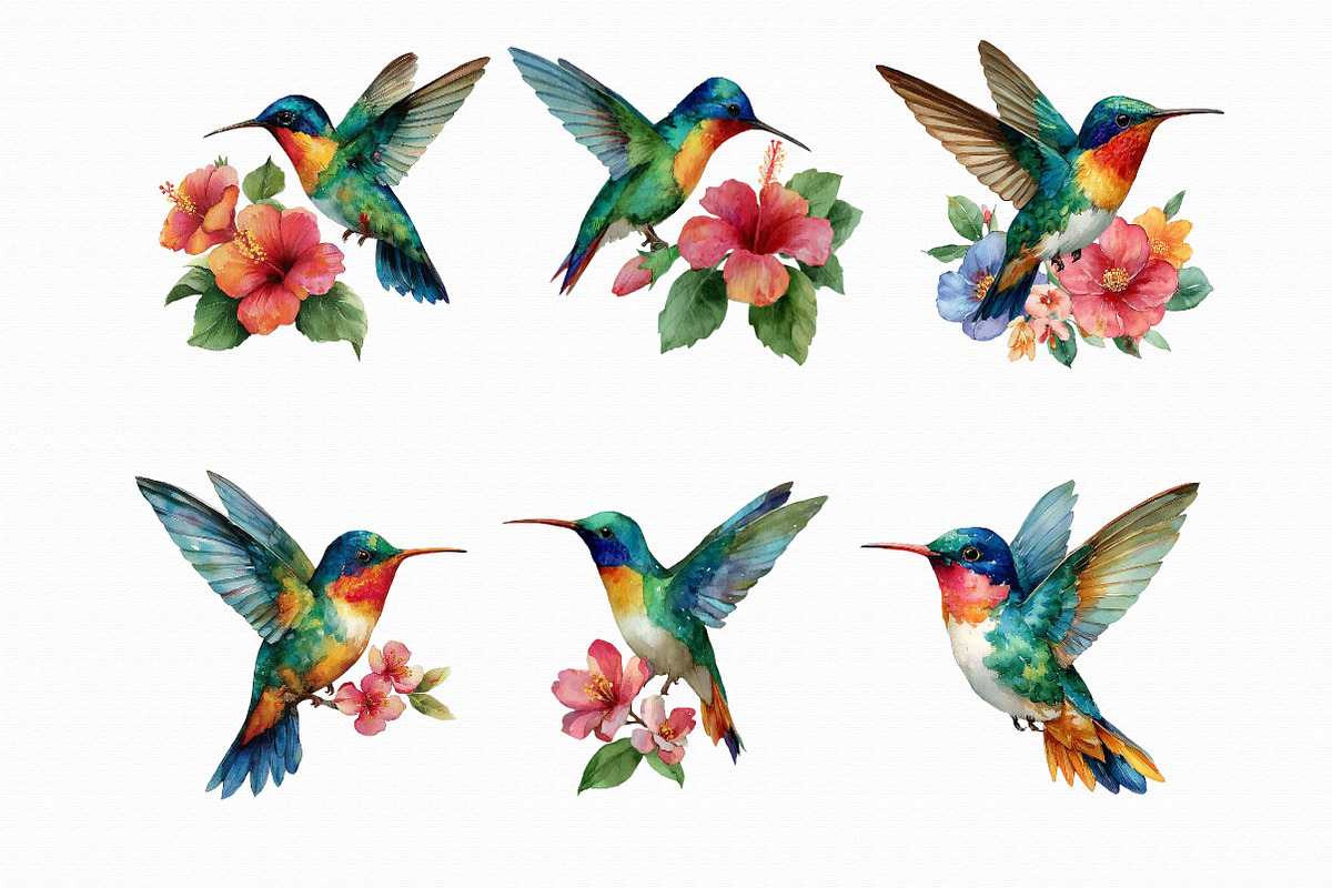 Watercolor Hummingbird Clipart, an Illustration by Libby Wishes (Photo 4 of 4)