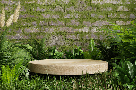 Mossy podium in tropical forest for product presentation and wall moss backgrou