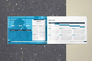 Business Proposal Landscape