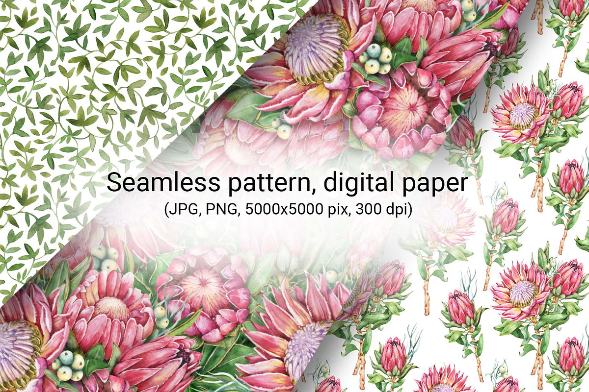 Protea seamless digital paper, a Pattern Graphic by Artmanata (Photo 5 of 11)