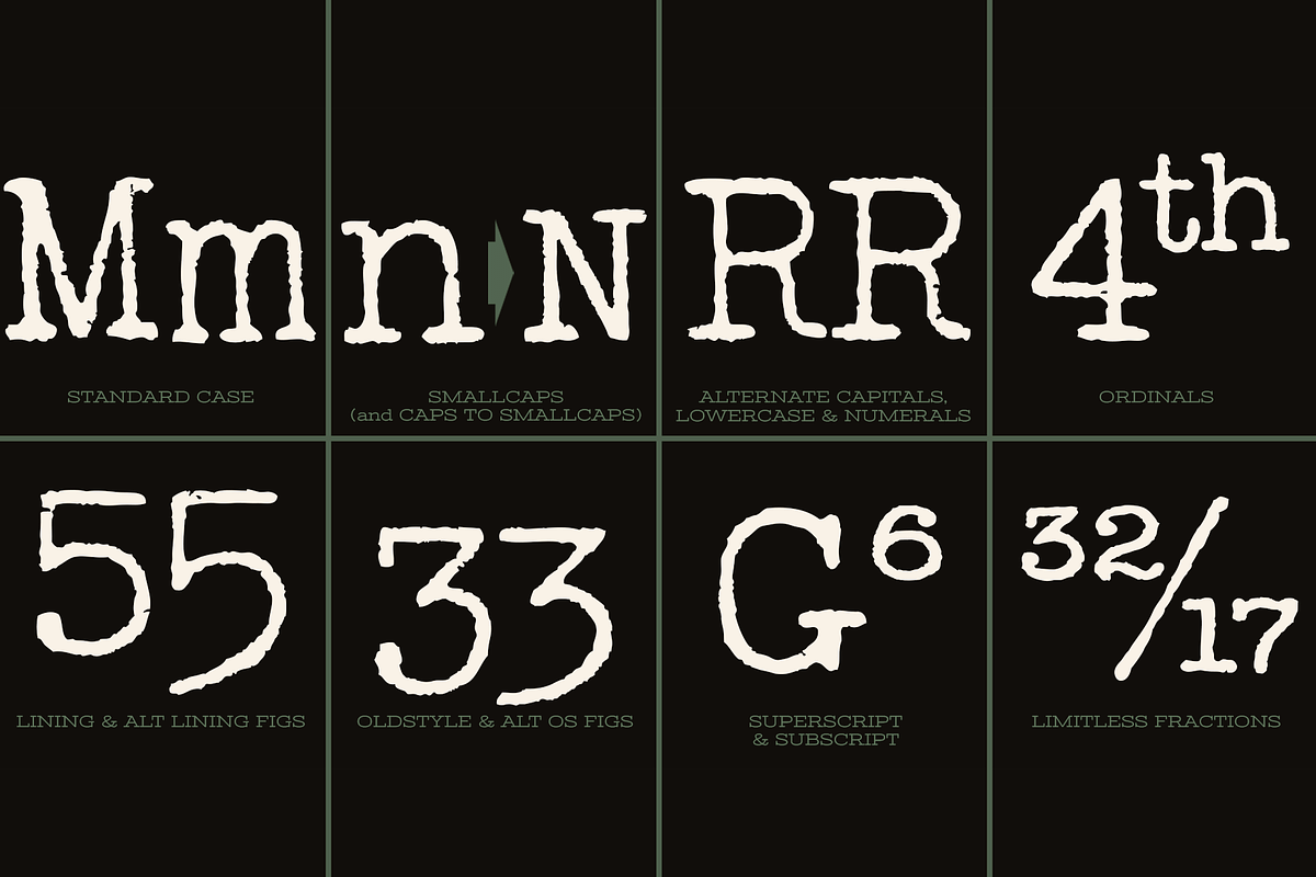 Wire Transfer 76, a Serif Font by Stiggy & Sands (Photo 8 of 9)