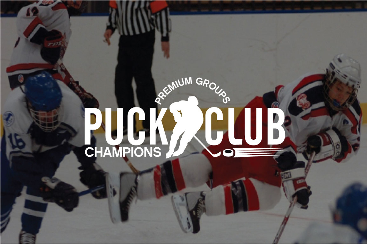 HOCKEY- LABELS & LOGOS VOL1, a Branding & Logo Template by shazi (Photo 2 of 12)
