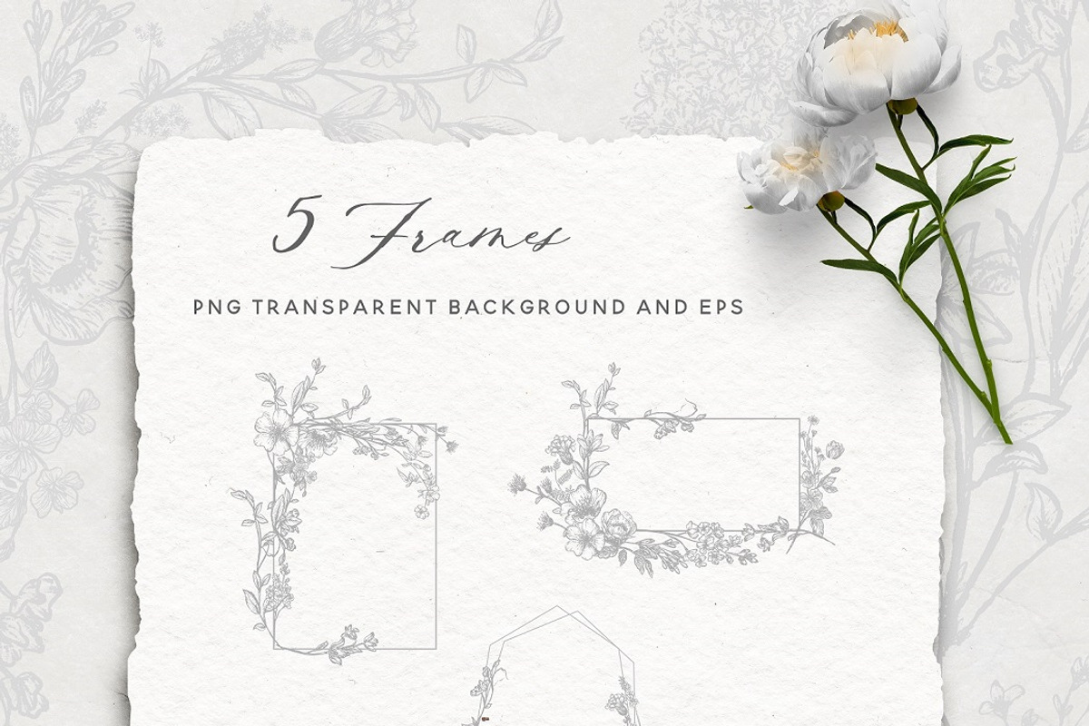 Line Art Wildflowers Clipart, a Decorative Illustration by BlumenSoul (Photo 6 of 9)