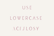 Daisy - Modern handwritten serif, a Serif Font by Sk designs (Thumbnail 8 of 8)