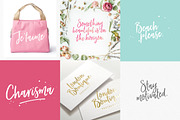 Forever Soulmates Font Duo, a Script Font by Nicky Laatz (Thumbnail 4 of 8)