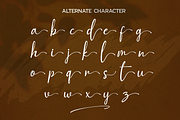 Gallmore // Chic Font Duo, a Script Font by BearyType Studio (Thumbnail 9 of 9)