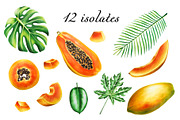 Papaya clipart in botanical style, a Food Illustration by Navenzeles (Thumbnail 2 of 12)