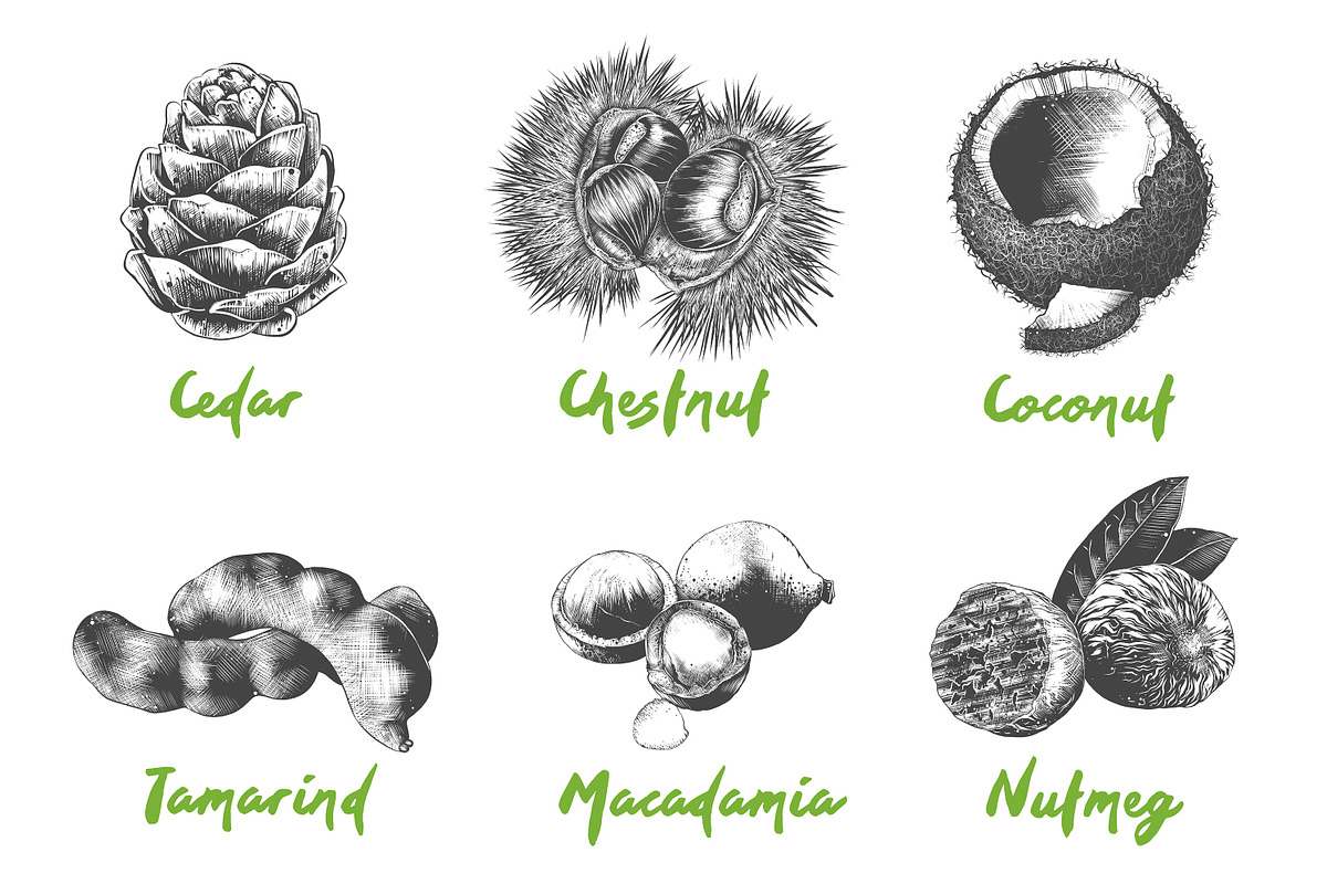 Set of 44 organic food objects, a Decorative Illustration by Akimo Mia (Photo 7 of 10)