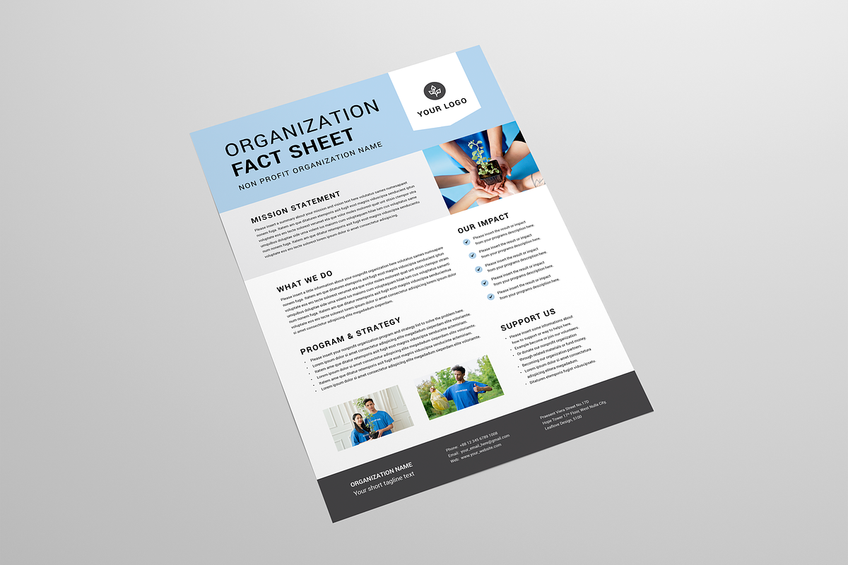 Nonprofit Organization Fact Sheet, a Flyer Template by Leaflove