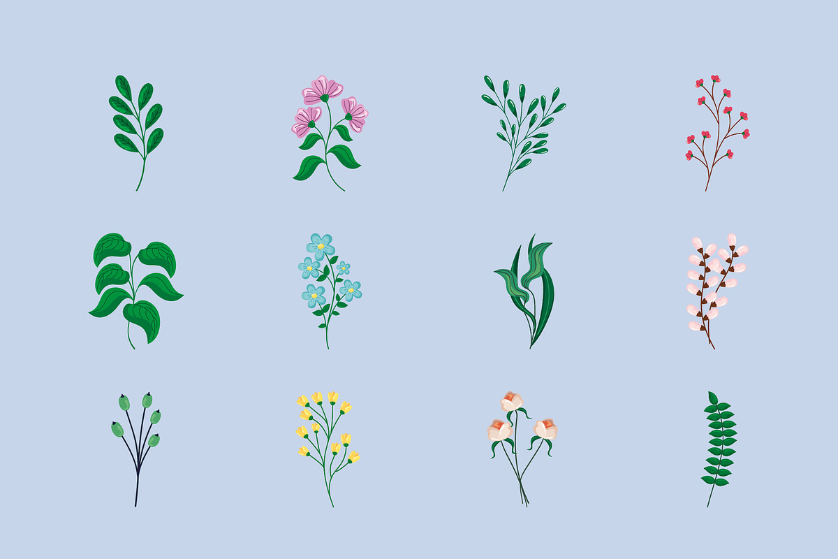 Flower Nature Illustration Set