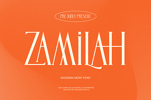Zamilah Modern Serif Display, a Serif Font by timelesstype.co