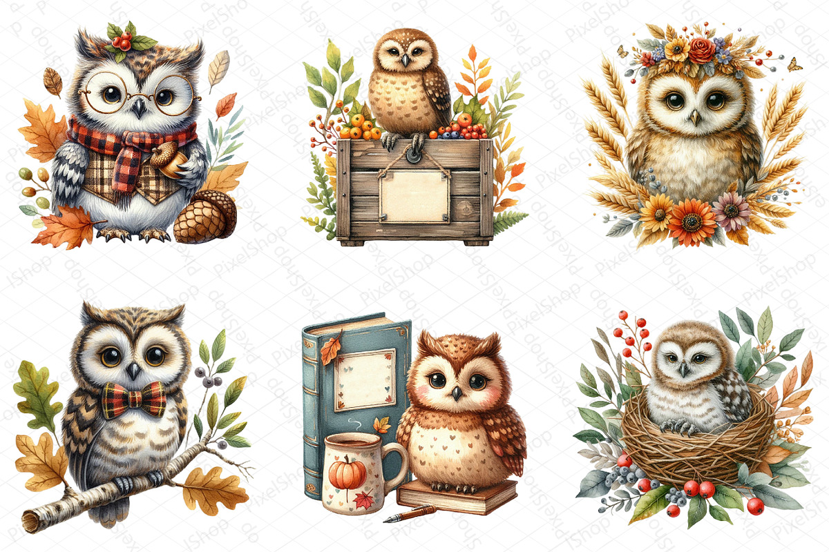 Watercolor Autumn Owl Clipart, an Illustration by DreamPrint404 (Photo 4 of 6)