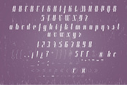 Roadster font family + Extras, a Script Font by Fontop (Thumbnail 22 of 26)