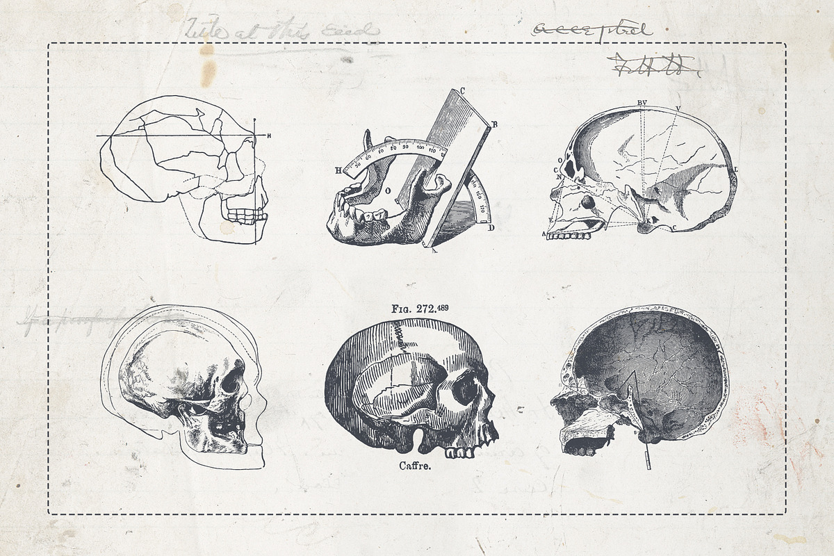 Craniometry, an Object Graphic by Sick Optix (Photo 7 of 8)